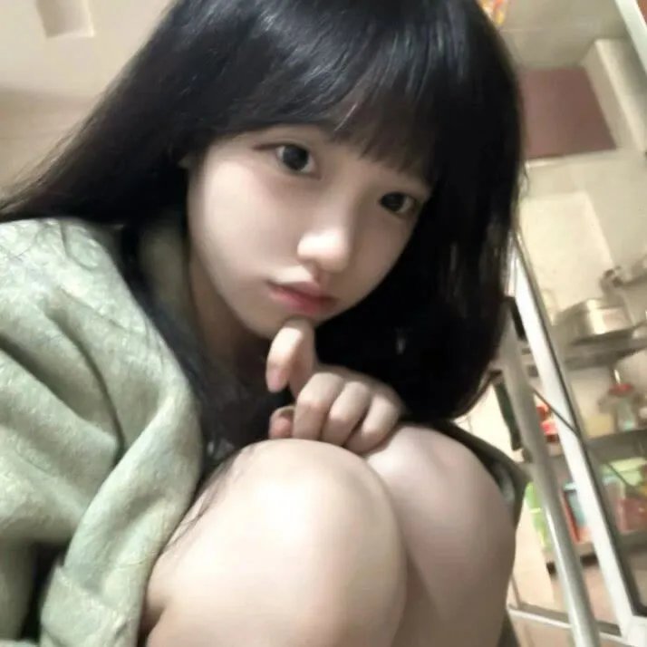 美国鼠谭4:寻找夜中的野兽